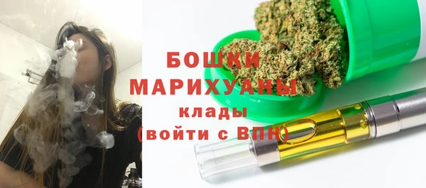 винт Верея