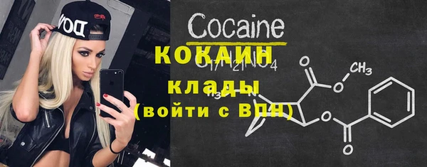 винт Верея