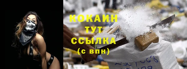 винт Верея