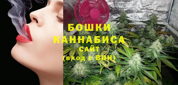 винт Верея