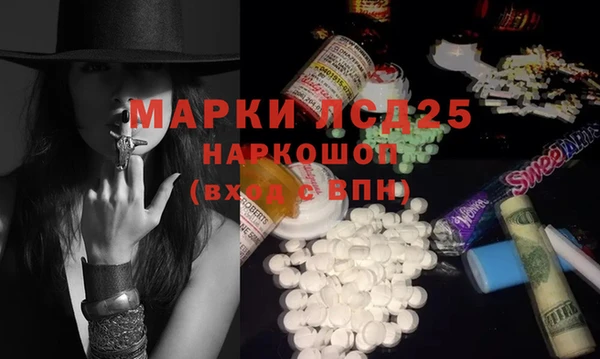 винт Верея