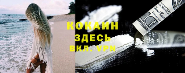 винт Верея