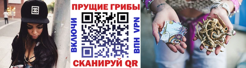 Галлюциногенные грибы Psilocybine cubensis  закладка  Петров Вал 